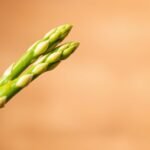 Avocado Crab Recipe Restaurant Style | Ocean Delight